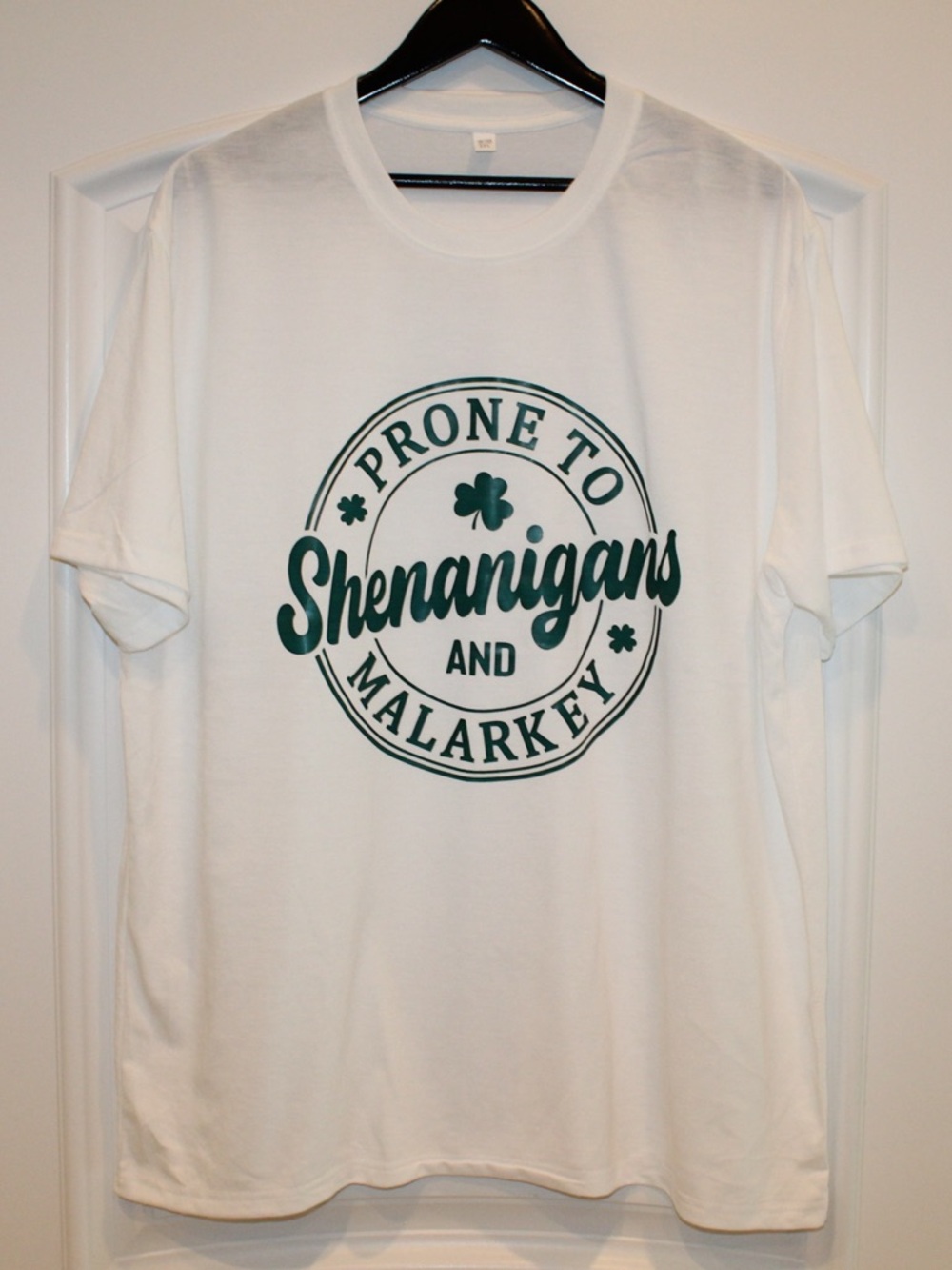 Prone to Shenanigans and Malarkey T-shirt (men’s 2XL) (NWOT)